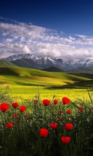 How to download Nature Live Wallpapers 1.1 unlimited apk for android