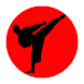 Shotokan Karate Kihon Kumite