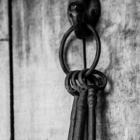 The Keys by Danie Grundling - Artistic Objects Still Life