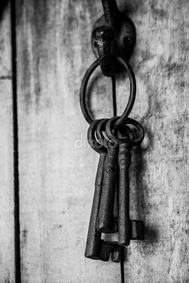 The Keys by Danie Grundling - Artistic Objects Still Life
