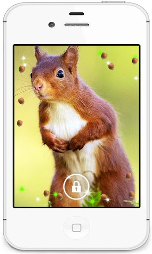 Squirrel Collection HD LWP