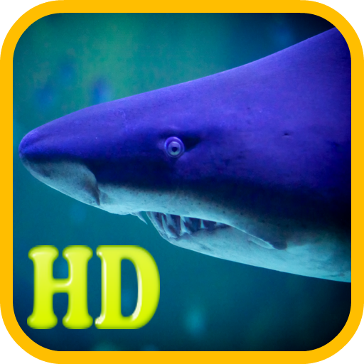 Best Shark Wallpapers LOGO-APP點子