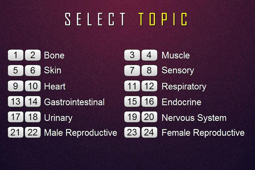 Medical Terminology Quiz Screen 2