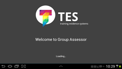 TES Group Assessor