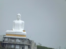 Lord Buddha Statue Hunnasgiriya