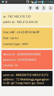 Free Simple IP Config Display APK for Android
