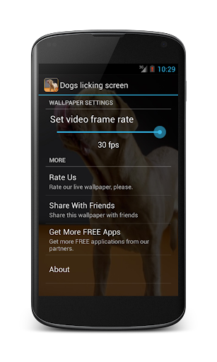 【免費個人化App】Dogs licking screen LWP HD-APP點子