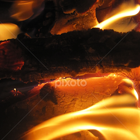 Bird by Dora Verlic - Abstract Fire & Fireworks