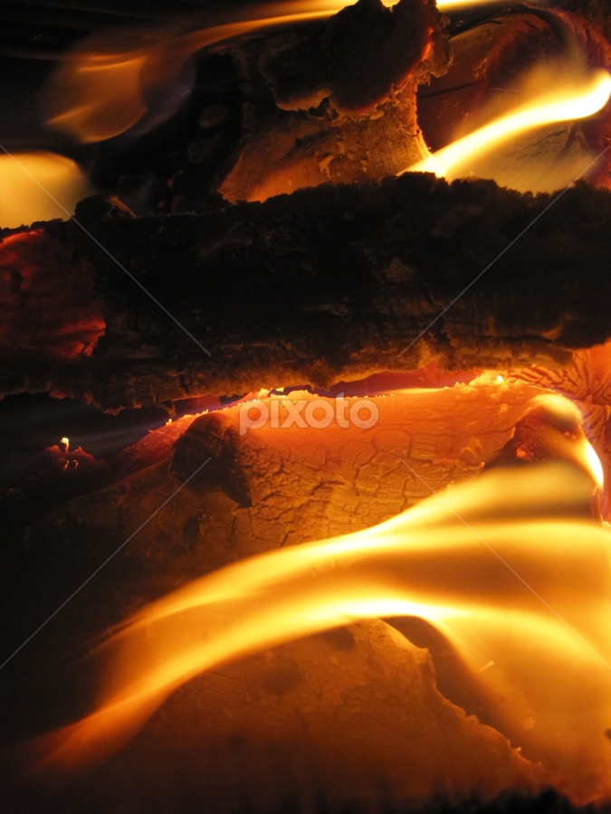 Bird by Dora Verlic - Abstract Fire & Fireworks