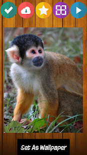 Free Download Monkey jigsaw puzzle game APK for Android
