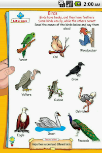 UKG-BirdsAndInsects Screenshots 1