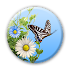 Butterfly1.1.6