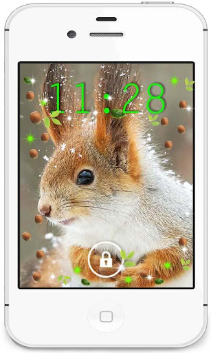 Squirrel Best live wallpaper