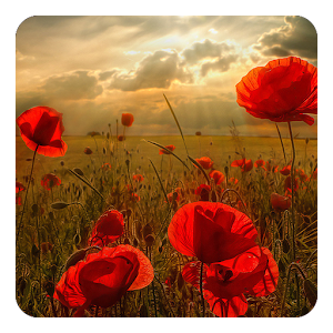 Flowers Live Wallpaper.apk 7.1