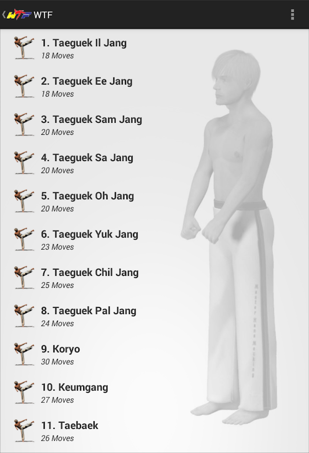Taekwondo Forms - An