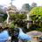 Tea Garden Live Wallpaper