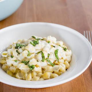 10 Best Small Shell Pasta Recipes