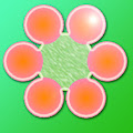 Six Flower Apk