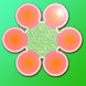 Six Flower