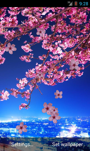 Sakura Live Wallpaper HD