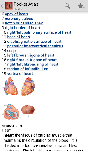 Atlas of Anatomy