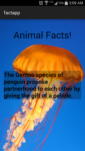 40 Cool Facts About Animals