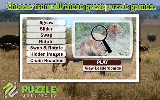 Free Africa Animal Puzzle Game