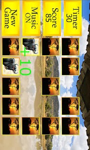 Match'em Africa: Safari Memory Screenshots 0