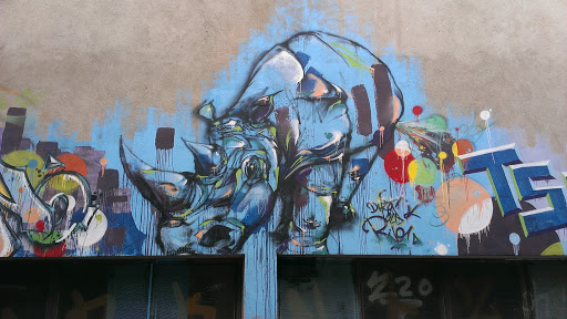 Peinture Murale Du Rhino
