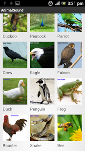 Free Download Animal Sound APK for PC