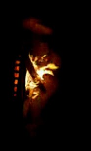 Fireplace Screenshots 2