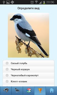 EcoGuide: Russian Birds Screenshots 7