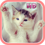 Cute Kitten & Puppy Sounds HD Apk