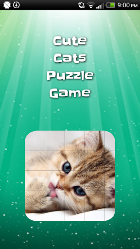 Cute Cat Sliding Puzzle