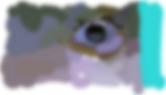 Eye Eye Cap'n