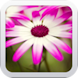Make Photo Frames icon