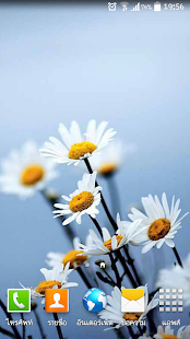 Download Flower Wallpaper APK