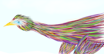 Bird of sorts