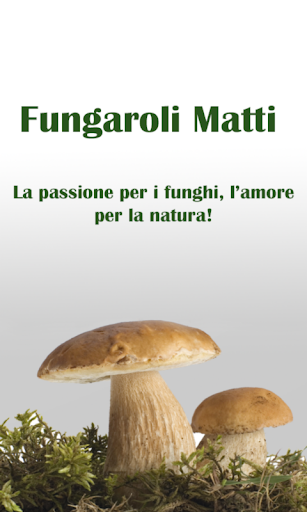 Fungaroli Matti