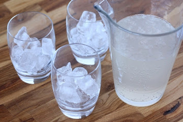 Homemade Grapefruit Soda