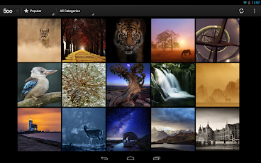 500px Android