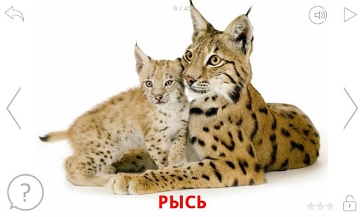 Android application Животные и их звуки для детей screenshot