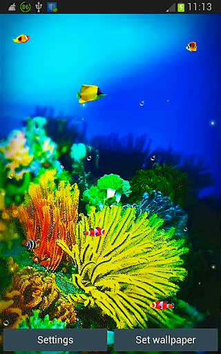 Galaxy S5 Fish Reef Wallpapers