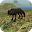 Wolf RPG Simulator 2 Download on Windows