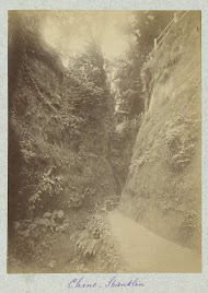 Gezicht op de Shanklin Chine