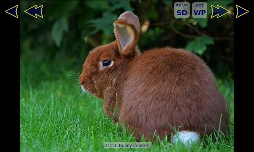 How to mod Big Bunny Wallpaper Gallery patch 1.4 apk for pc