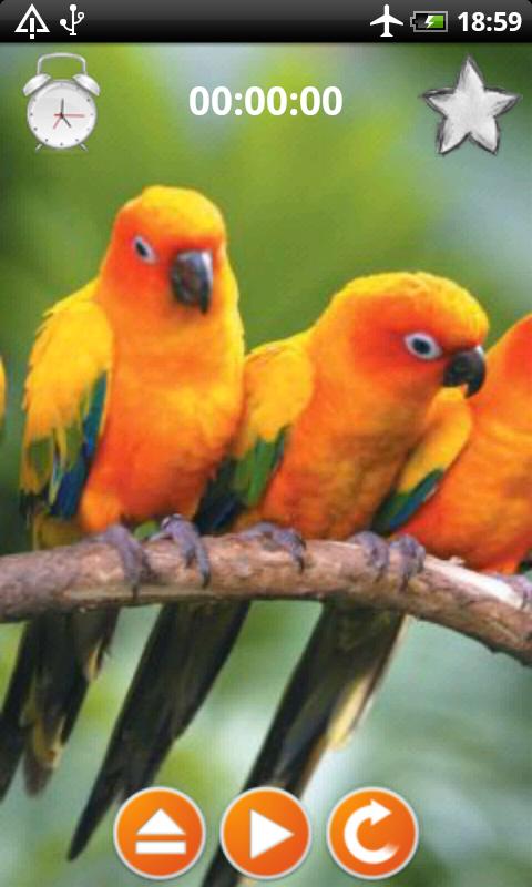 Birds Calls Sounds - Android Apps on Google Play