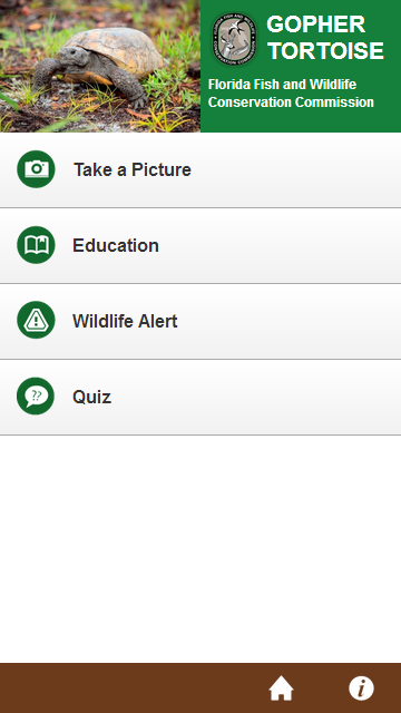    Florida Gopher Tortoise- screenshot  