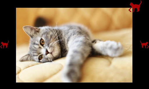 無料休闲Appの赤ちゃんのための猫と活動|記事Game