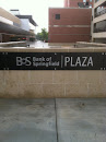 Bank Of Springfield Plaza